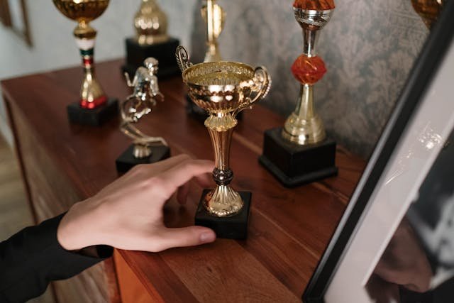 Organizational Excellence
